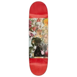 CHARLIE PRO S38 8.5